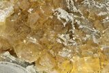 Gemmy, Yellow, Cubic Fluorite Cluster - Moscona Mine, Spain #188321-2